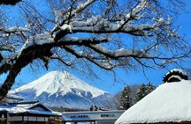 Guided Private Mt. Fuji and Hakone Tour GREEN NUMBER PLATES