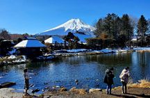 Guided Private Mt. Fuji and Hakone Tour GREEN NUMBER PLATES