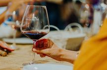 Art & Wine Experience in Valpolicella at Palazzo Montanari