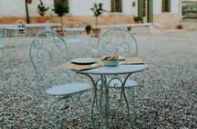 Art & Wine Experience in Valpolicella at Palazzo Montanari