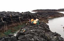 Jeju island Eastern UNESCO site Full Day Guided Tour