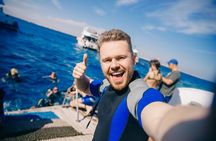 Sharm El Sheikh: Ras Mohamed, White Island, Snorkel and Diving