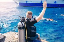 Sharm El Sheikh: Ras Mohammed & White Island Diving Trip