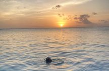 Private Sunset and Snorkel Cruise