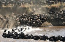 4 Days 3 Nights Serengeti, Ngorongoro and Tarangire Safari