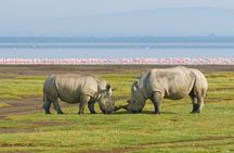 African Wildlife Safari 7 Days 