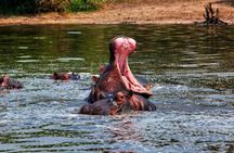 African Wildlife Safari 7 Days 