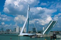 Rotterdam & Delft Private Offshore Daily Walking Tour
