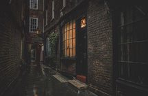 London: Harry Potter Walk, Hop-on Hop-off Bus Tour and Cruise