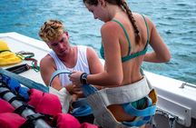 Aruba Parasailing Experience from Noord