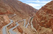 Private Trip a Sightseeing Kasbah Ait Ben Haddou from Marrakech