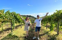 Pisa, Vinci, Tuscany, Wine tasting all in one day! - Small Group