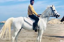Horseback Riding Muscat Beach