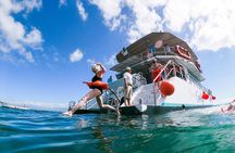 Half-Day Snorkeling Tour
