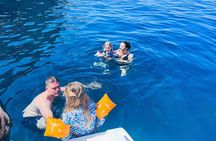 Blue Cave and Šunj Beach Speedboat Tour from Dubrovnik