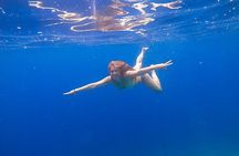Blue Cave and Šunj Beach Speedboat Tour from Dubrovnik