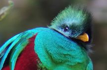 Nature walk in Curicancha Reserve 