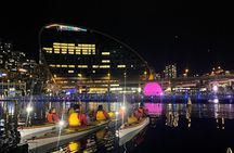 Moonlight Sea Kayaking Experience in Sydney's VIVID Festival