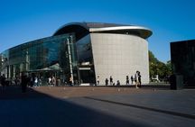 Amsterdam Van Gogh Museum Optional Guided Tour 