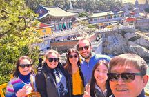 Small Group Full Day Busan Tour (Max 6 Pax)
