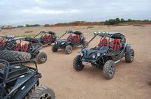 Dunes Quad or Buggy Tour In Agadir