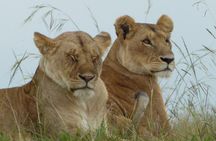 Maasai Mara and Great Rift Valley Lakes