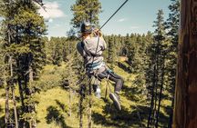 2 Hour Cypress Hills Zipline Afternoon Adventure