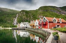 Bergen Golden Circle Fjortour by Minibus