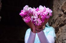 Oman Damasks Rose Tour 