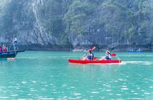 Symphony Luxury Cruise Day Tour from Halong Harbor with Pickup