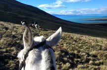 Adventure Horseback Riding on Cerro Frias