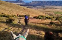 Adventure Horseback Riding on Cerro Frias