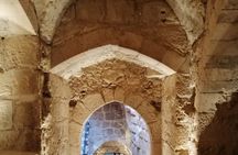 From Amman: Private Full Day Group Tour Jerash Ajloun and Amman