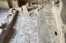 From Amman: Group Day Tour Madaba Mount Nebo & Dead Sea to Amman 