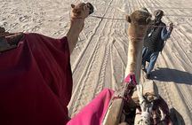 Doha Qatar ATV Quad Bike Buggy Dune Bashing and Camel Ride 