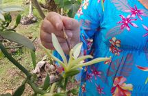 Raiatea-Le Taha'a Lagoon Full Day All Inclusive Tour