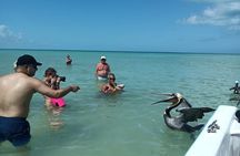 Holbox - Fishing & Snorkeling in Cabo Catoche with drinks & snack