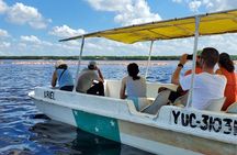 Celestun mangrove boat tour from Mérida