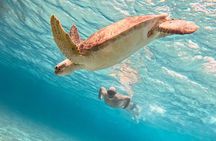 Cozumel Snorkeling to Palancar & El Cielo with drinks & Snack