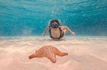 Cozumel Snorkeling to Palancar & El Cielo with drinks & Snack