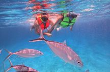 Cozumel Snorkeling to Palancar & El Cielo with drinks & Snack