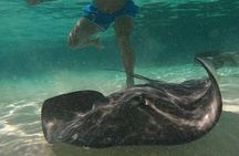 Cozumel Snorkeling to Palancar & El Cielo with drinks & Snack