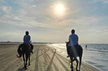 Horseback Riding Muscat Beach