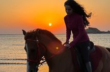 Horseback Riding Muscat Beach
