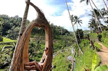 Ubud Half-Day Tour with Rice Terraces, Water Temple, & Waterfall