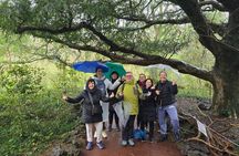 Jeju Private Half-Day Tour for Cruise Customers