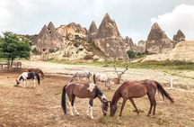 2 Hours Horse Riding Tour in Red and Rose Valley