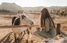 2 Hours Horse Riding Tour in Red and Rose Valley