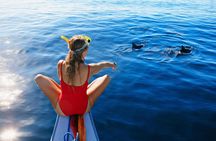 Dolphin House Boat Trip with Snorkeling & Lunch in Marsa Alam
