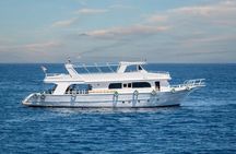 Tiran Island Boat Trip with Snorkeling 2 stop at Sharm El Sheikh